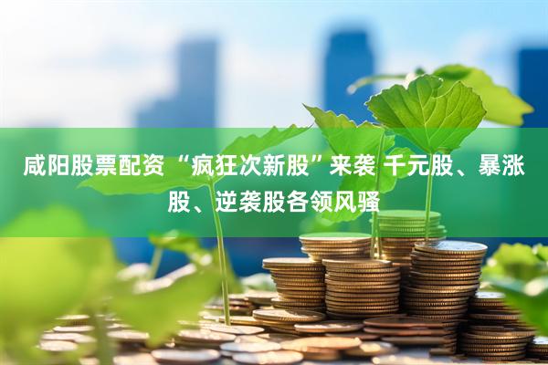 咸阳股票配资 “疯狂次新股”来袭 千元股、暴涨股、逆袭股各领风骚
