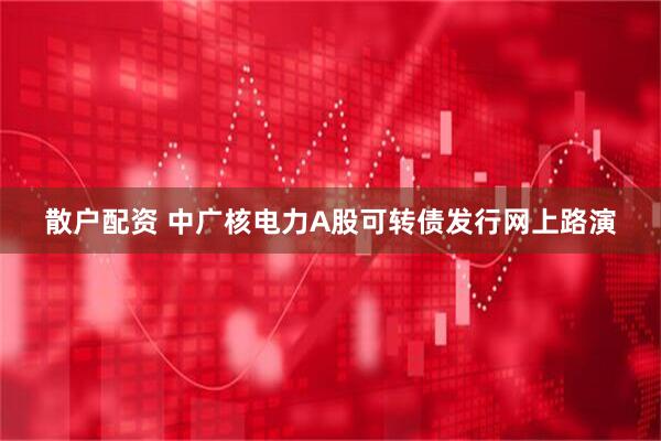 散户配资 中广核电力A股可转债发行网上路演