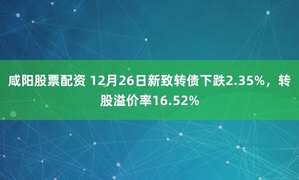 咸阳股票配资 12月26日新致转债下跌2.35%，转股溢价率16.52%