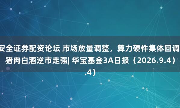 安全证券配资论坛 市场放量调整，算力硬件集体回调，猪肉白酒逆市走强| 华宝基金3A日报（2026.9.4）